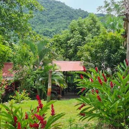Eco Hostal Monolandia Ел Заино Екстериор снимка
