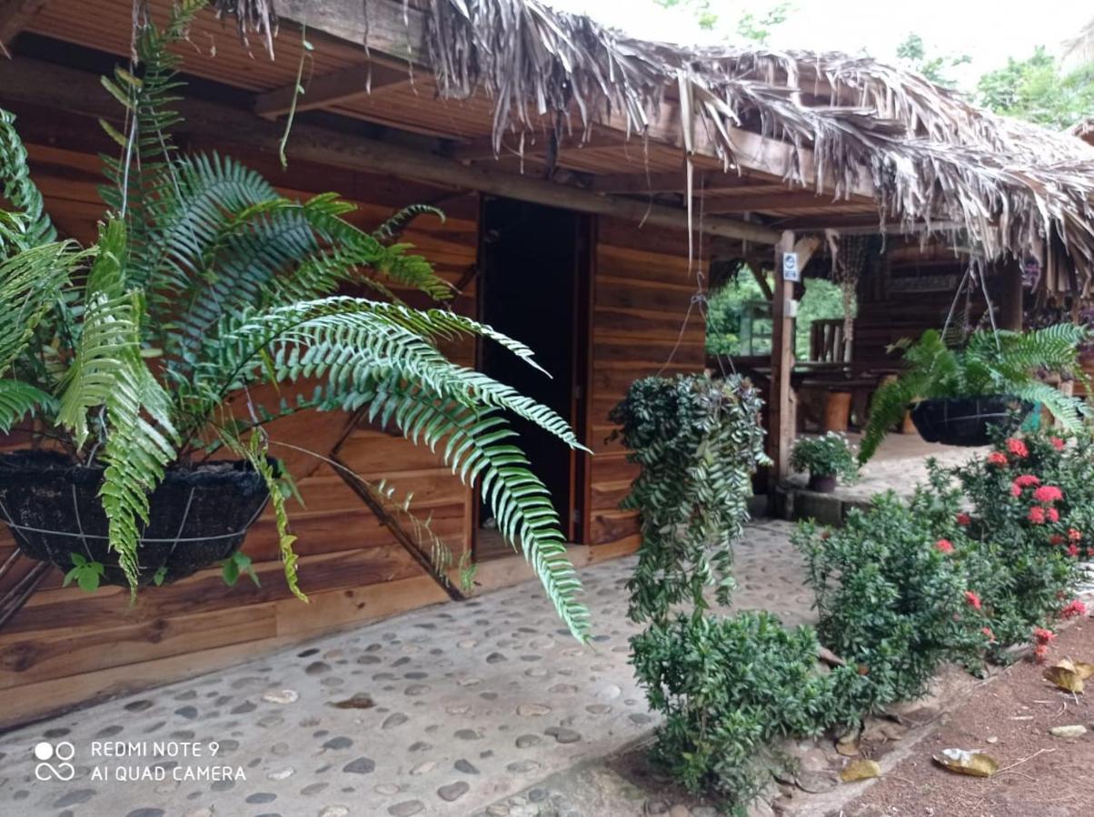 Eco Hostal Monolandia Ел Заино Екстериор снимка