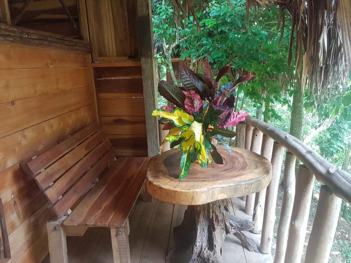 Eco Hostal Monolandia Ел Заино Екстериор снимка