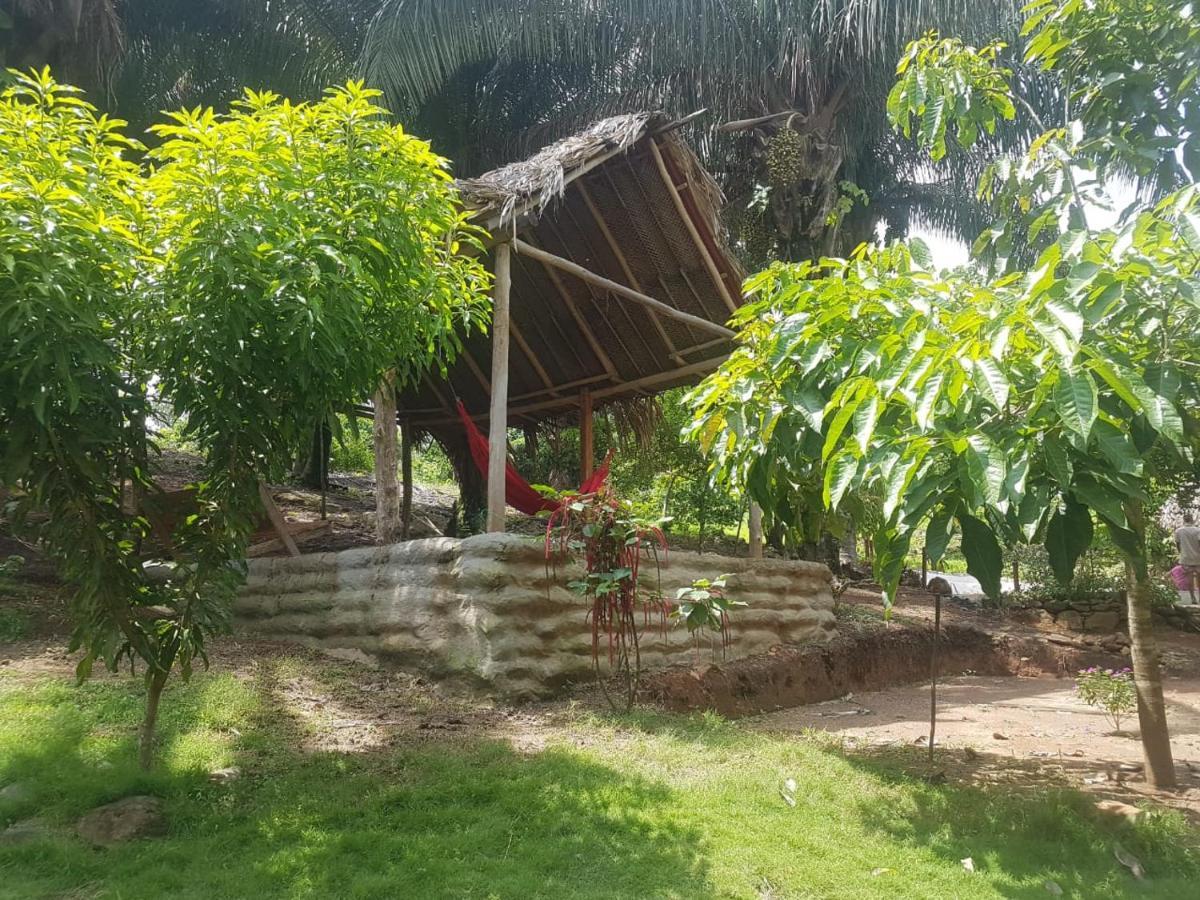 Eco Hostal Monolandia Ел Заино Екстериор снимка
