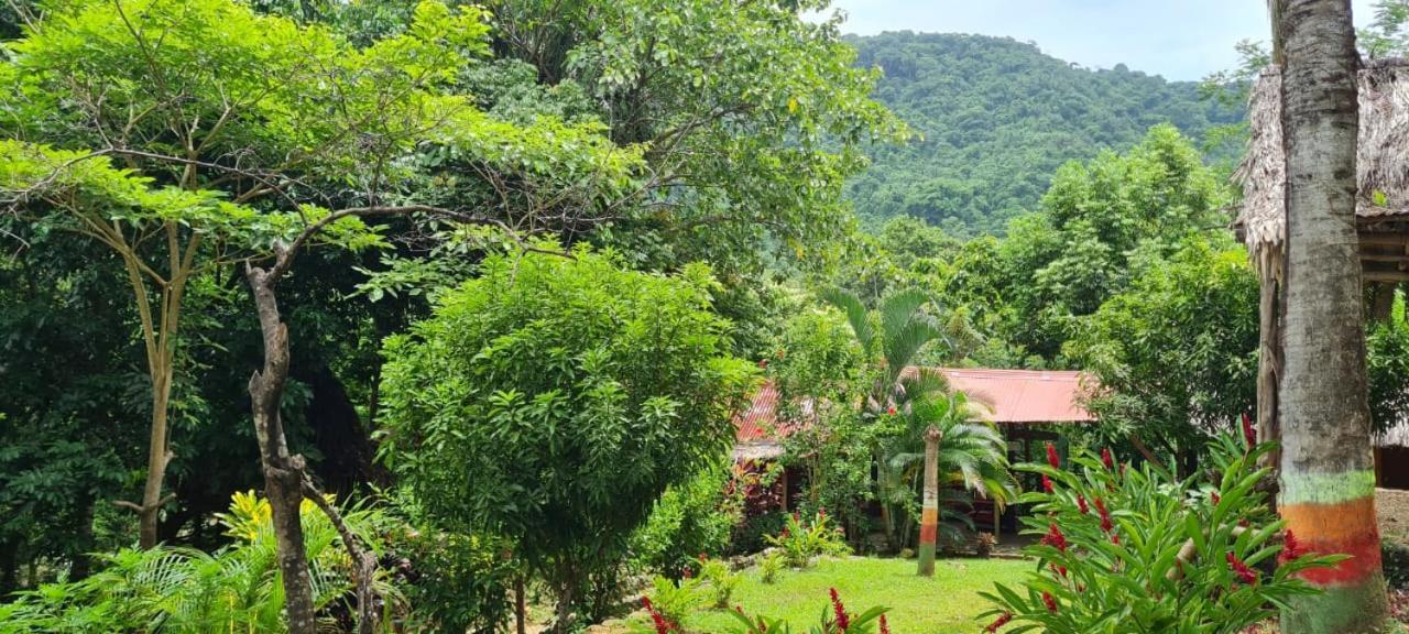 Eco Hostal Monolandia Ел Заино Екстериор снимка