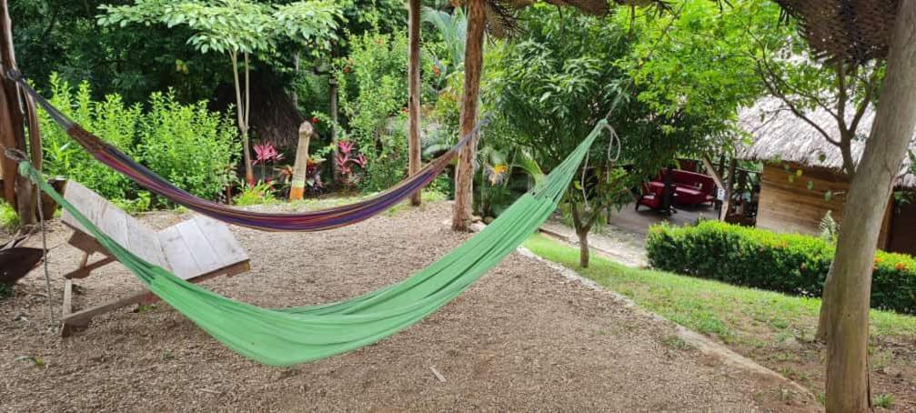 Eco Hostal Monolandia Ел Заино Екстериор снимка