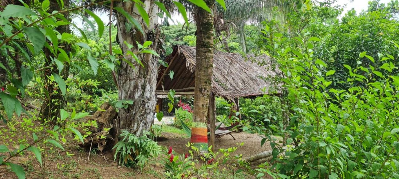 Eco Hostal Monolandia Ел Заино Екстериор снимка