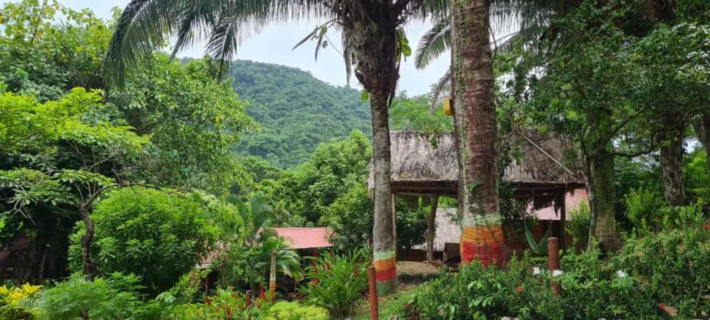 Eco Hostal Monolandia Ел Заино Екстериор снимка