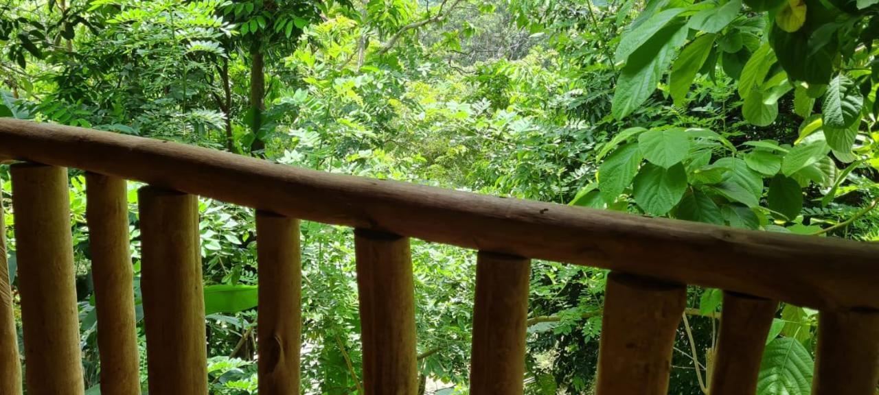Eco Hostal Monolandia Ел Заино Екстериор снимка