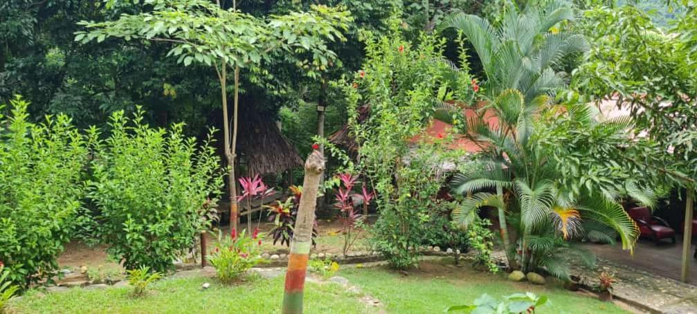 Eco Hostal Monolandia Ел Заино Екстериор снимка