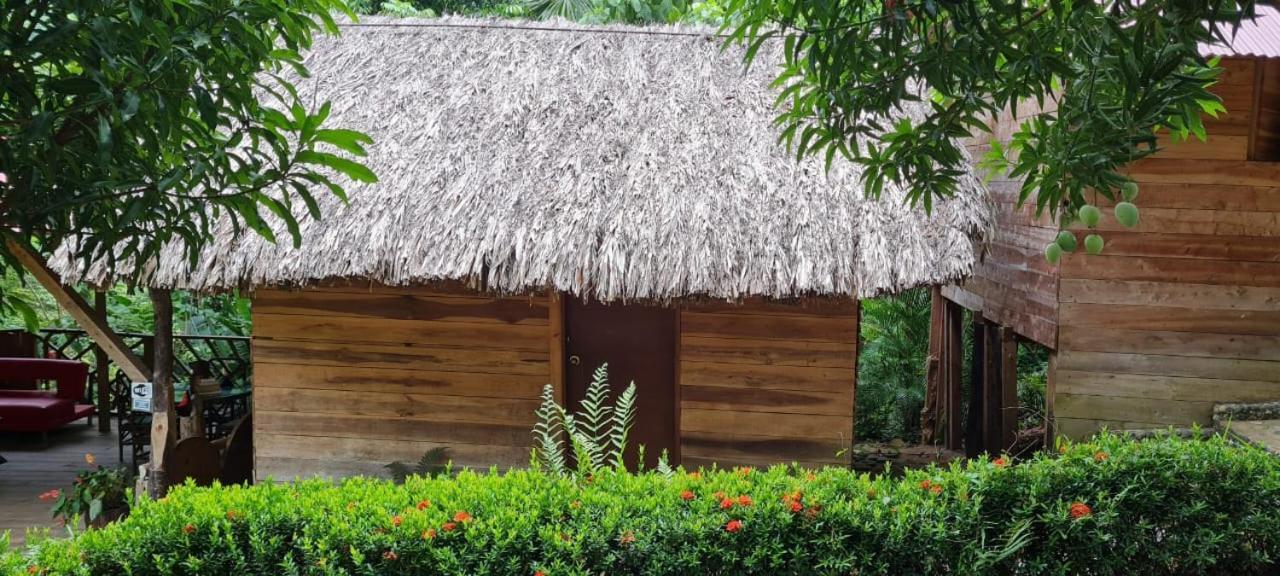 Eco Hostal Monolandia Ел Заино Екстериор снимка